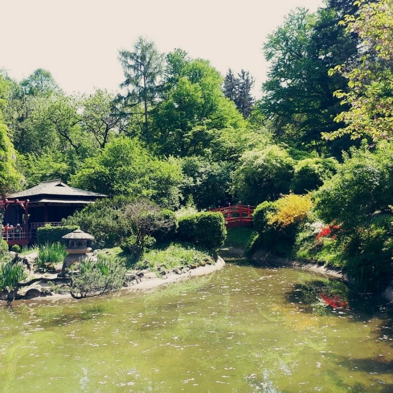 Grădina Botanică „Alexandru Borza” cluj