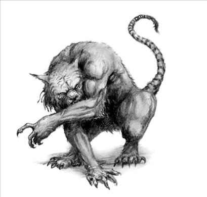 pisica islandeza craciun