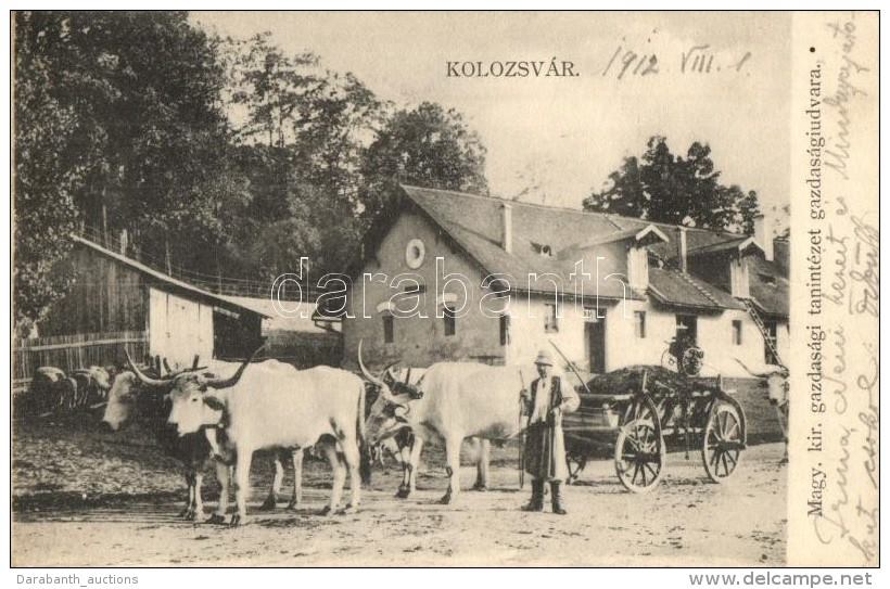 Calea Manastur - anul 1912