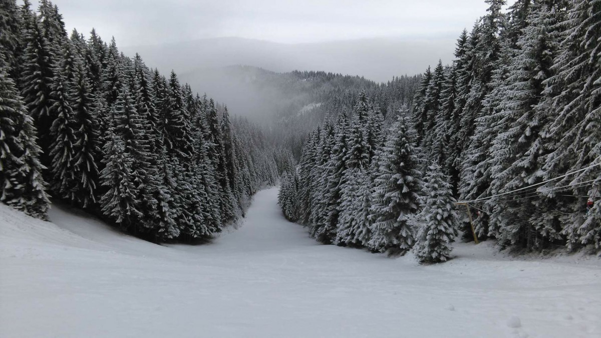 16487167_365133300538349_4578434564420103647_o