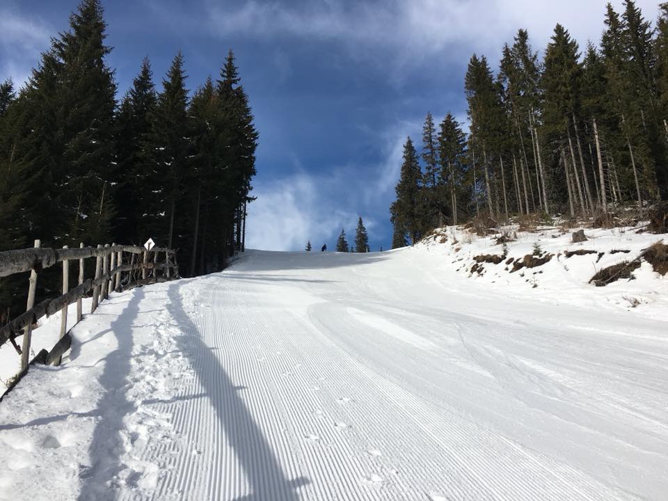 26994198_1743134109078421_3752062727876118548_n