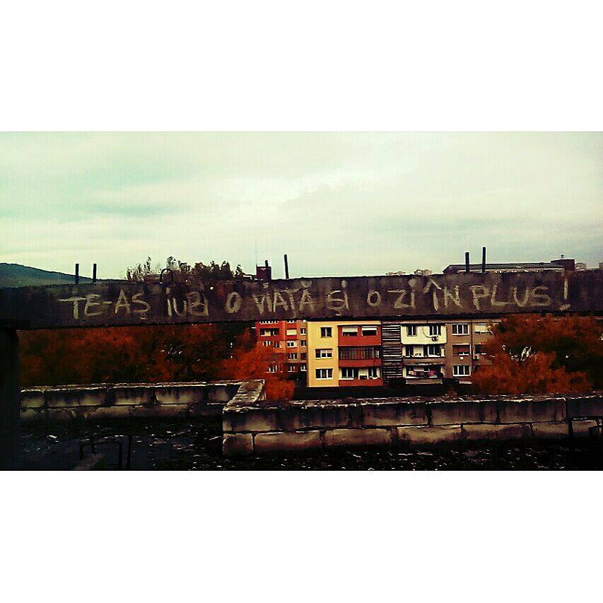 22195982_779458982241548_749763987408154971_n