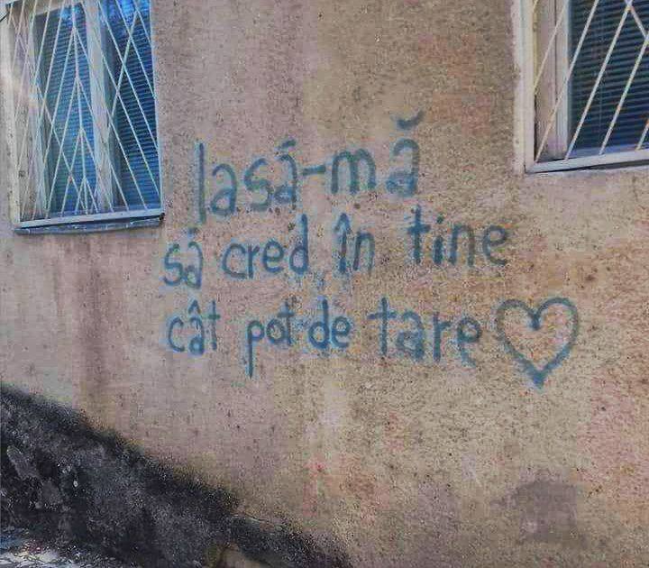 22528085_783889851798461_7227032953471865210_n