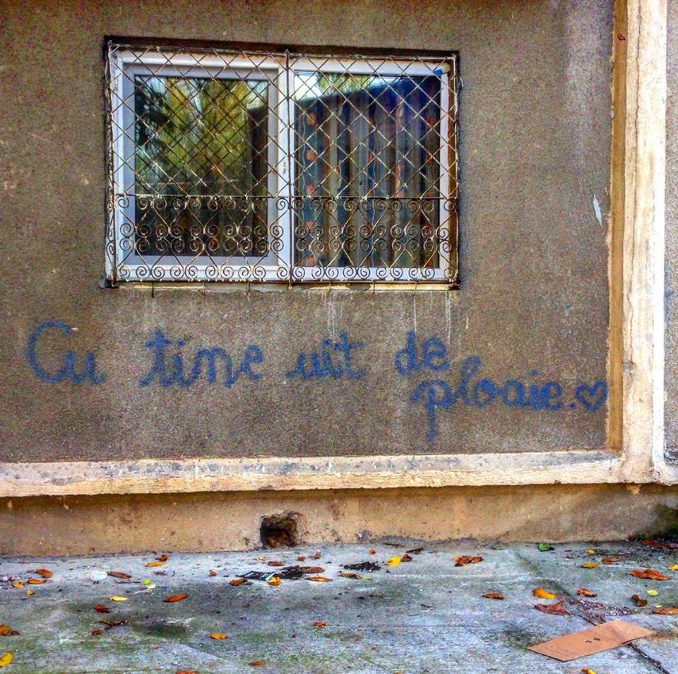 22814433_789125471274899_6225667832162461071_n