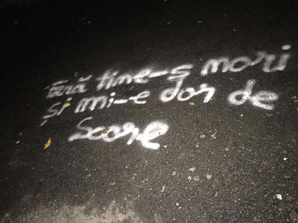 23130953_791197284401051_6487236459859028031_n