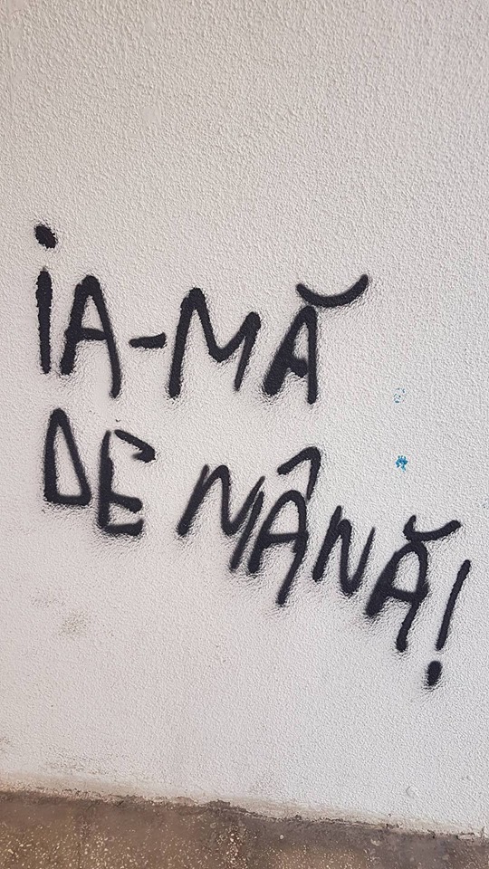 23132029_791197031067743_8555284562096698785_n