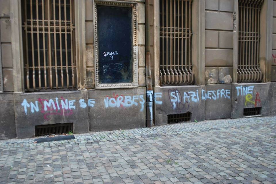 23754949_799439580243488_7968865393898186704_n