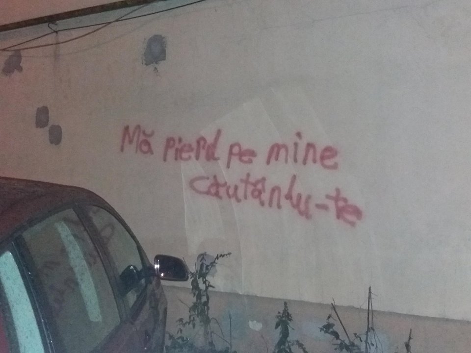 24177179_805979559589490_1192334479057654657_n