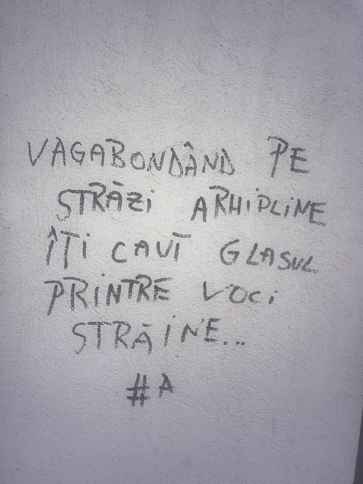 27657201_839094596277986_8404193312839884210_n