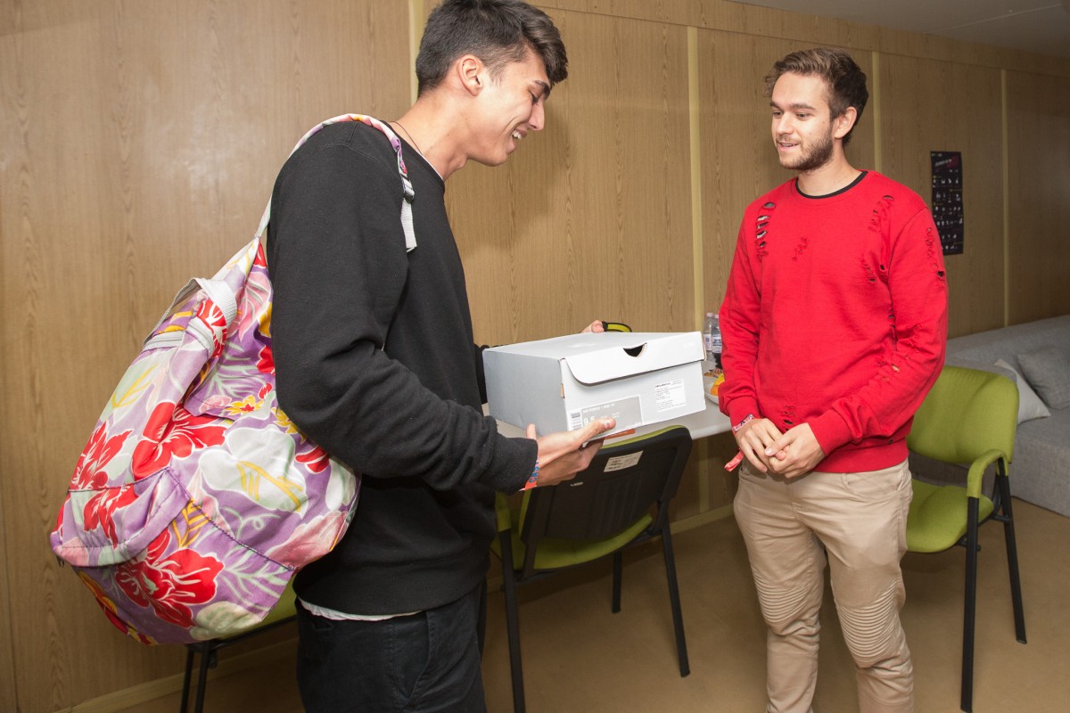 Zedd sneakers Graure 2
