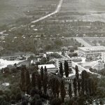 cartierul zorilor sinuta