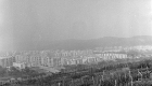zorilor cluj panorama