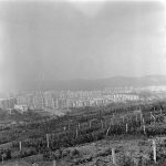 zorilor cluj panorama