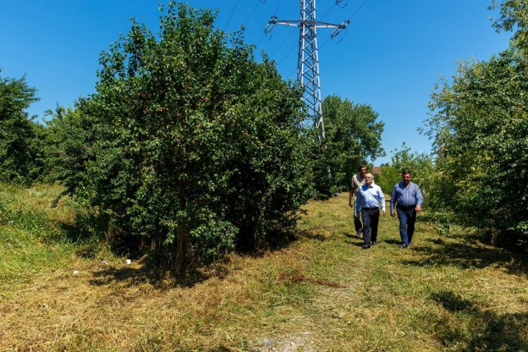 Parcul Tineretului din Cluj-Napoca – între promisiune şi realitate 10 parcul tineretului cluj