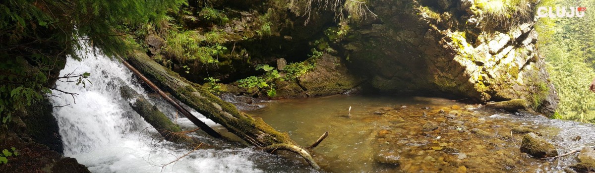 20690223_885002408322297_5410501126289587228_o