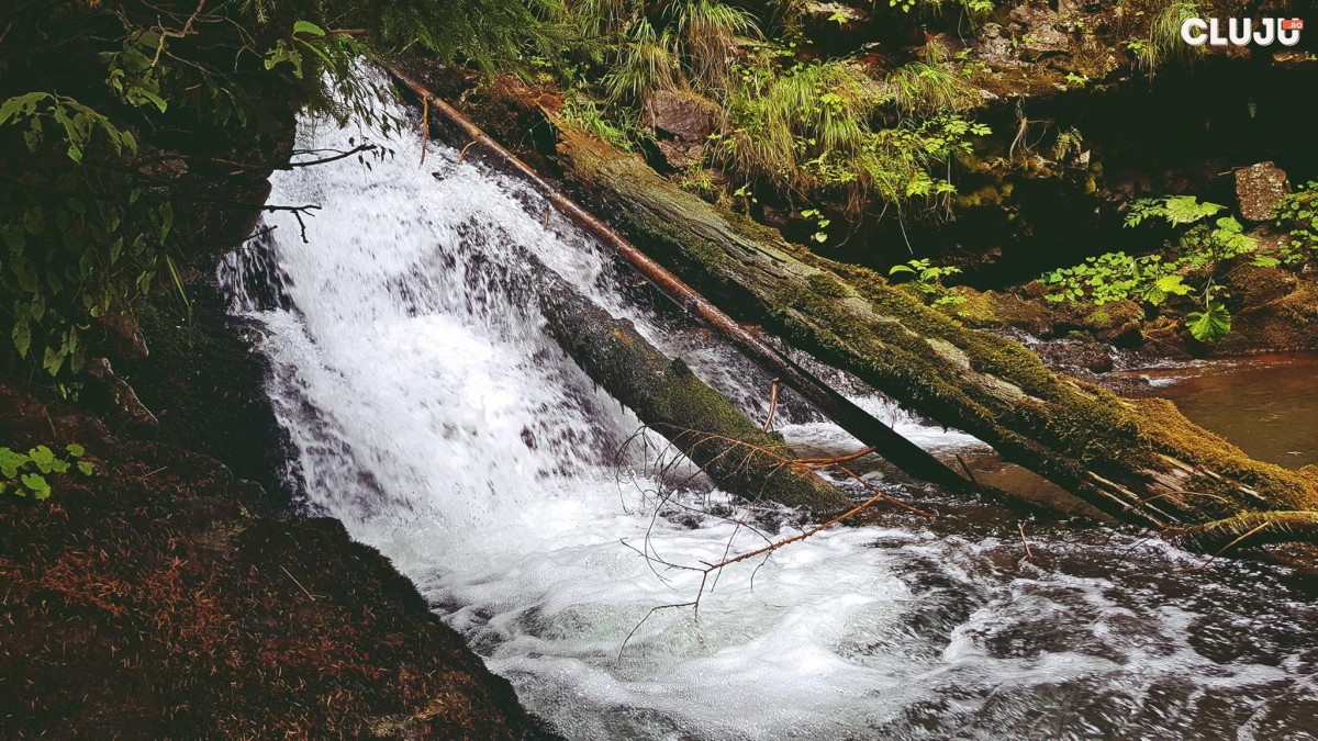 20785717_885002234988981_5869702982553250713_o