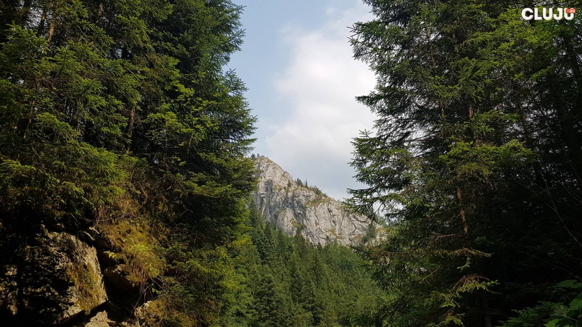 20785995_885002341655637_3533413579666877758_o