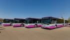 autobuze noi cluj 2018