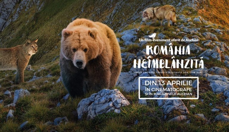 film romania neimblanzita