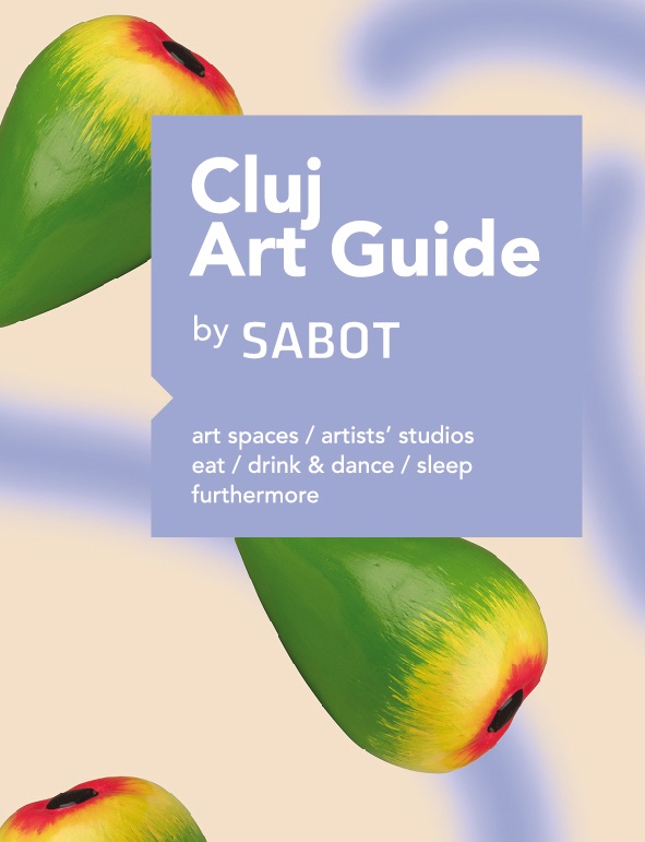 cluj art guide