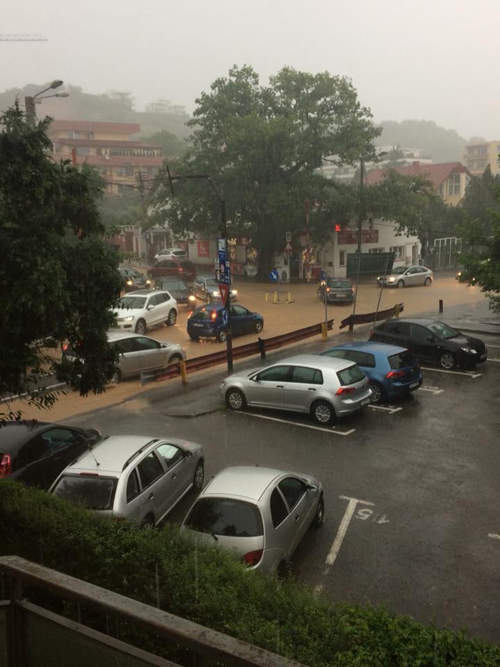 35282513_2012681855472342_7267037570515599360_n