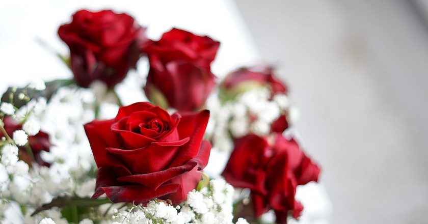 Buchete de trandafiri albi sau rosii? Afla ce semnificatii au acestea in limbajul florilor