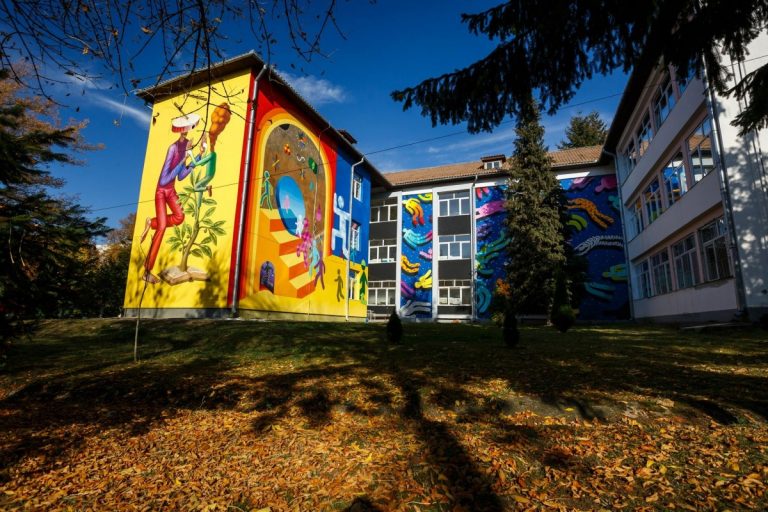 Artă în curtea școlii | Mai mulţi artişti au colorat zidurile cenuşii ale unei şcoli din Cluj (FOTO) 8 Artă în curtea școlii | Mai mulţi artişti au colorat zidurile cenuşii ale unei şcoli din Cluj