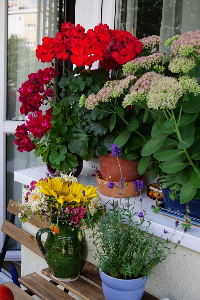 cel mai frumos balcon