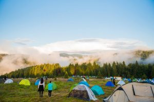 10 arbori plantaţi pentru fiecare bilet vândut la MOX