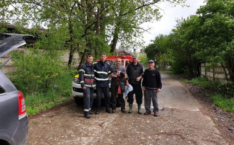 Șapte căței au fost salvați dintr-un canal de către pompierii clujeni (FOTO) 7 Șapte căței au fost salvați dintr-un canal de către pompierii clujeni
