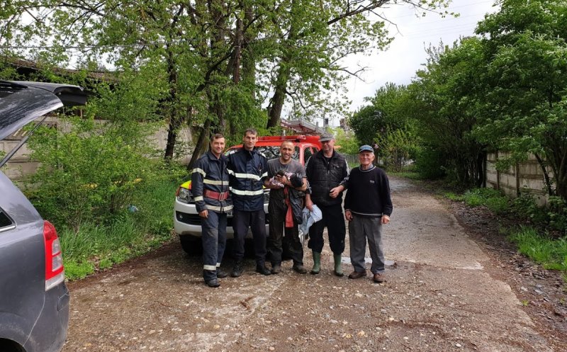 Șapte căței au fost salvați dintr-un canal de către pompierii clujeni