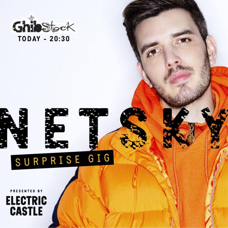 netsky ghibstock