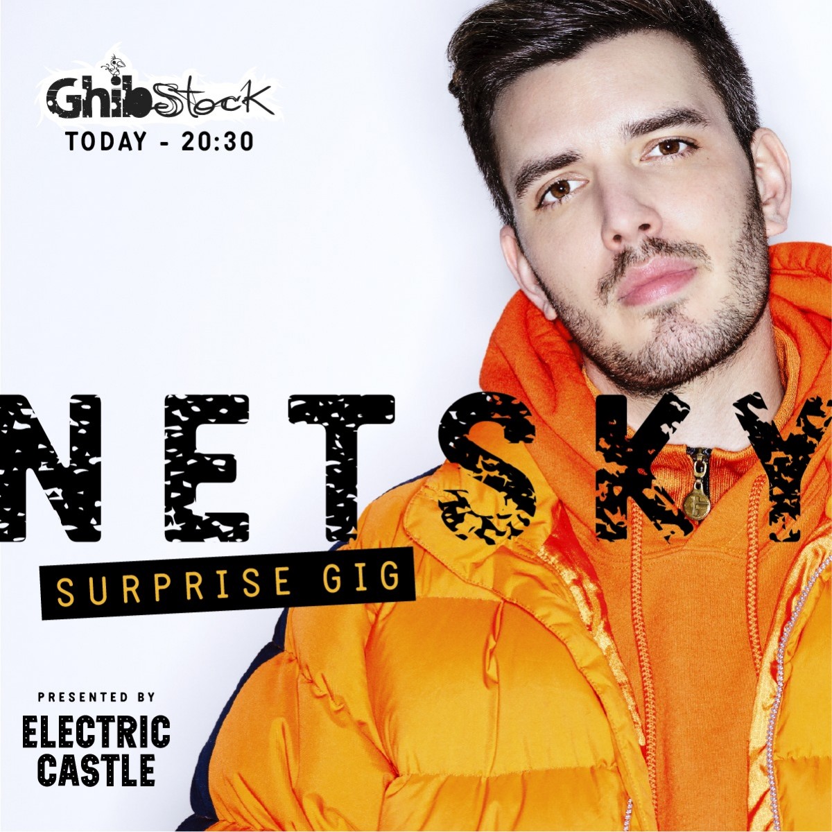 netsky ghibstock