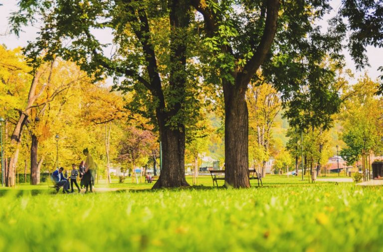 Pădurea Clujenilor - un nou parc în Cluj! Investiţia se ridică la suma de 5 milioane de euro, bani europeni 3 Pădurea Clujenilor - un nou parc în Cluj