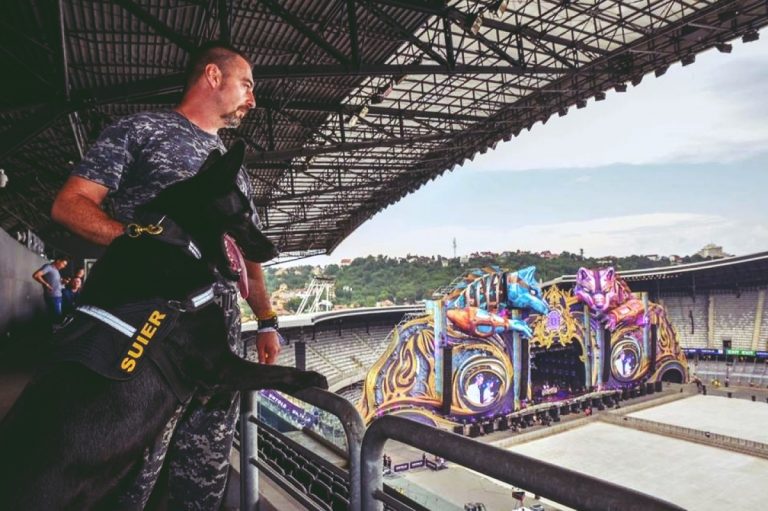 politisti untold 2019