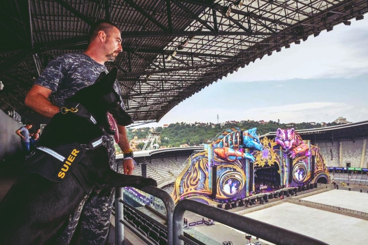 politisti untold 2019