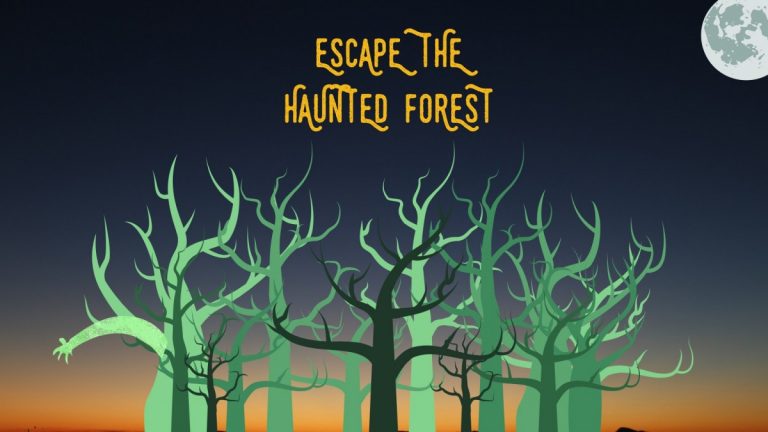 Eveniment inedit în pădurea Hoia - Baciu pe timpul nopţii: Escape The Haunted Forest 9 Eveniment inedit în pădurea Hoia - Baciu la miezul nopţii: Escape The Haunted Forest