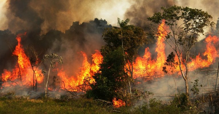 Dezastru climatic | Record de incendii în Pădurea Amazoniană