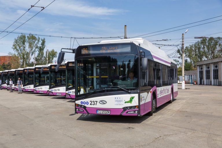 Vinerea Verde Cluj