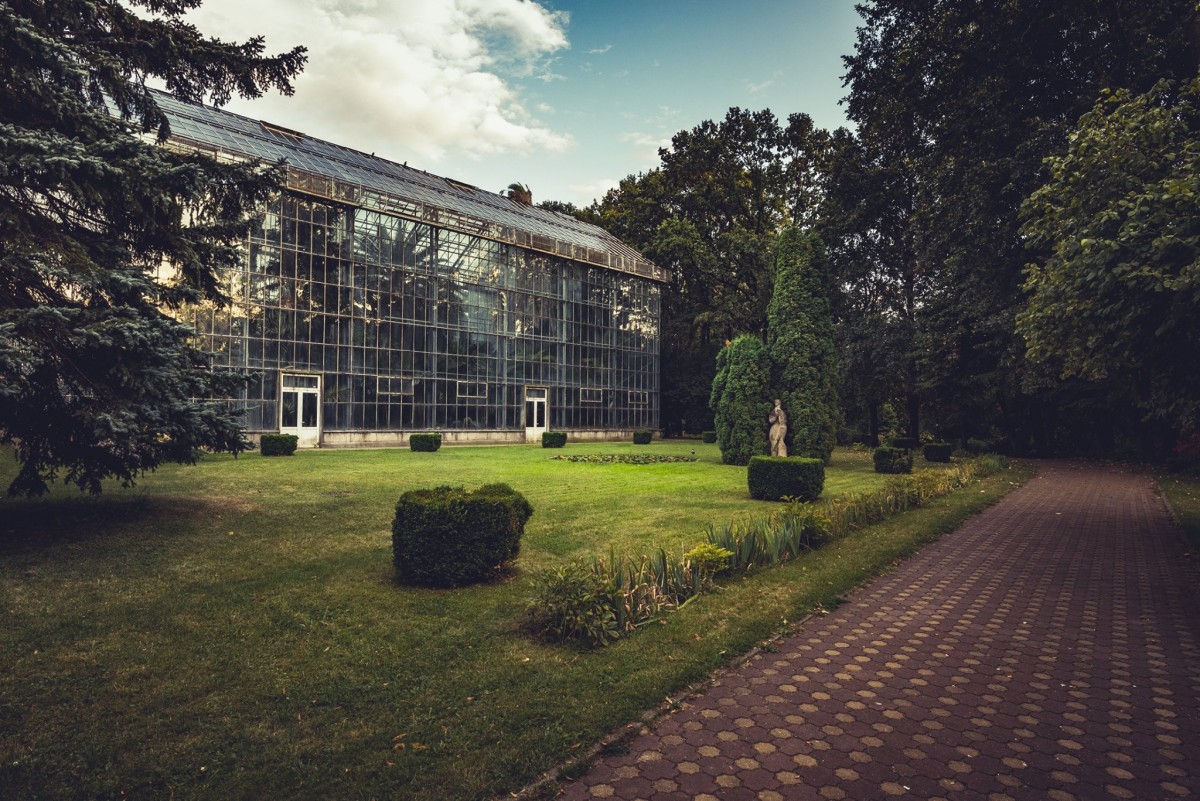 ecologizare și de plantare de copaci la Grădina Botanică din Cluj-Napoa