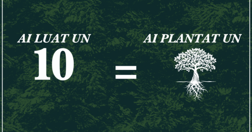 Campanie inedită la o facultate din Cluj: pentru fiecare 10 din sesiune va fi plantat un copac