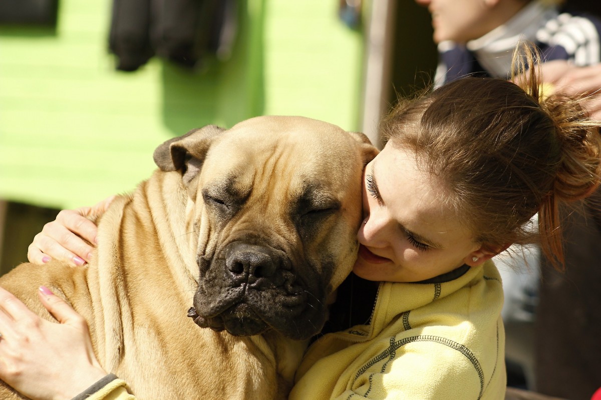 Ziua Interacțiunii Om-Animal la Cluj
