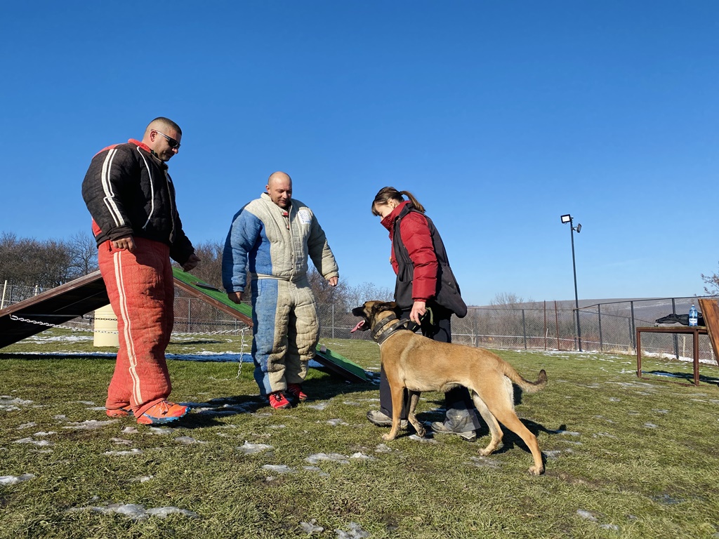 S-a deschis cel mai nou club de dresaj canin din Cluj: K9 Club Ham Ham