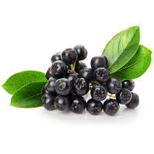 suc de aronia