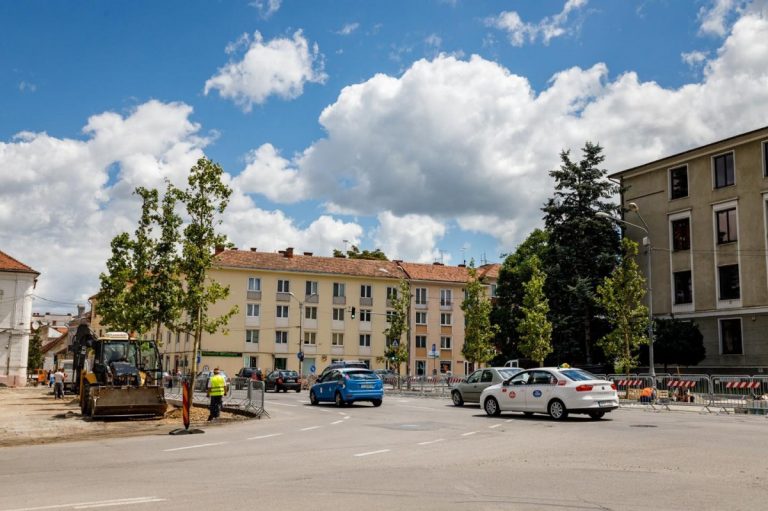 Se plantează arbori în Piața „Lucian Blaga” din Cluj-Napoca