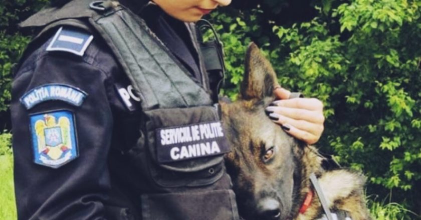 Oficial: Va fi înfiinţată Poliţia Animalelor în România
