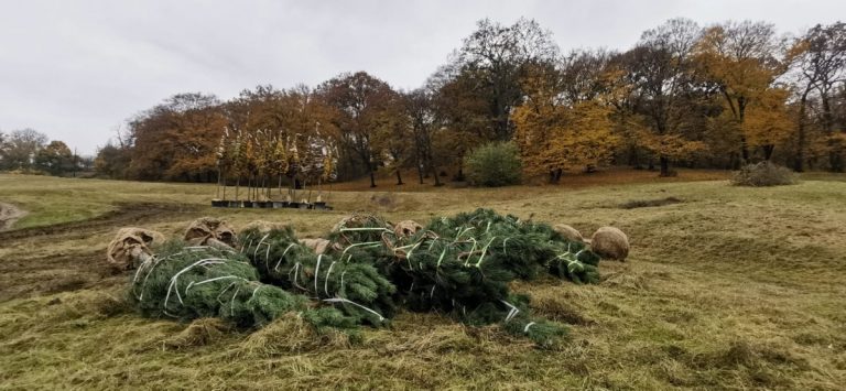 A început revitalizarea și extinderea Parcului Etnografic din Cluj-Napoca