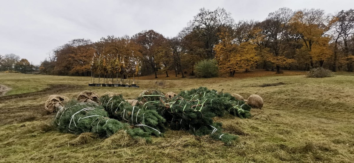 A început revitalizarea și extinderea Parcului Etnografic din Cluj-Napoca