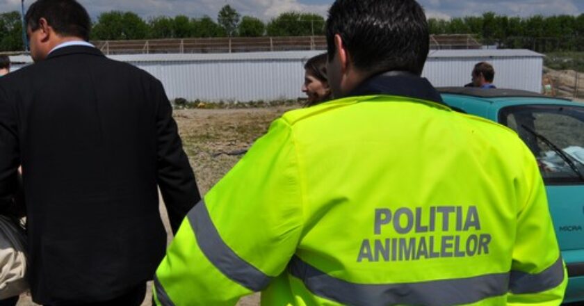 Angajări la Poliţia Animalelor la Cluj