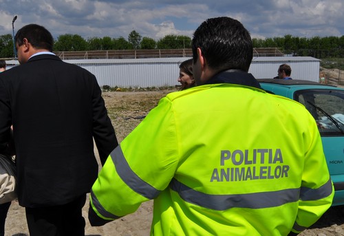Angajări la Poliţia Animalelor la Cluj